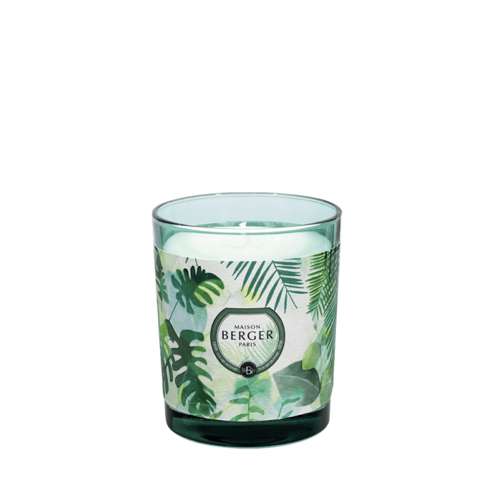 Maison Berger Jar Candle - Fresh Eucalyptus -1